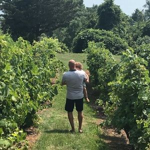 Meet your Posher, Lindsey